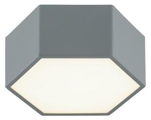 Argon 8784 - LED Stropní svítidlo LIBERO LED/12W/230V 3000K šedá