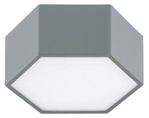 Argon 8784 - LED Stropní svítidlo LIBERO LED/12W/230V 3000K šedá