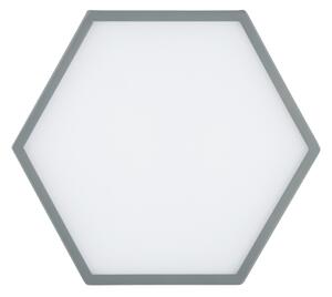 Argon 8784 - LED Stropní svítidlo LIBERO LED/12W/230V 3000K šedá