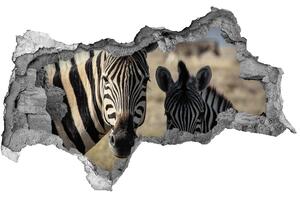 Díra 3D fototapeta nálepka Dvě zebry nd-b-70684470