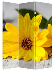 Paraván - Žluté květy (126x170 cm)