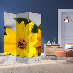 Paraván - Žlutá květina (126x170 cm)