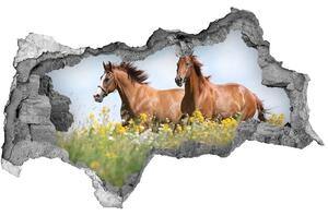 Díra 3D fototapeta Dva koně ve cvalu nd-b-71484450
