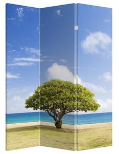 Paraván - Pláž se stromem (126x170 cm)