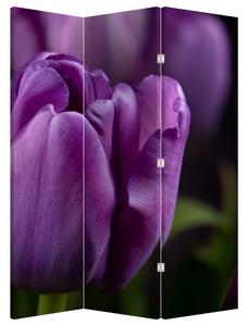 Paraván - Květ tulipánů (126x170 cm)