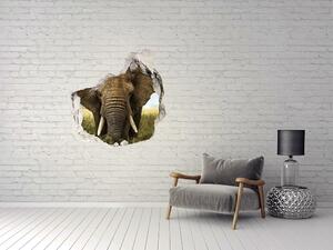 Díra 3D fototapeta na stěnu Sloni na savaně nd-p-51170548