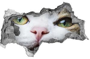 Díra 3D fototapeta nálepka Zelená kočičí oči nd-b-72425776
