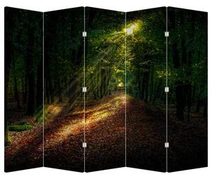 Paraván - Lesní cesta (210x170 cm)