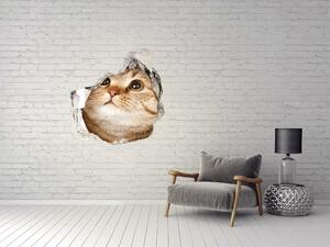 Díra 3D fototapeta na stěnu nálepka Kočka nd-p-52539481