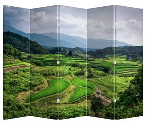 Paraván - Rýžové pole (210x170 cm)