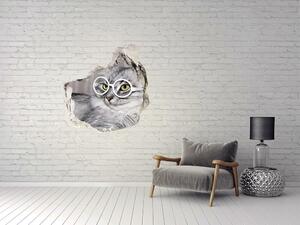 Díra 3D fototapeta nálepka Kočka v brýlích nd-p-115959381