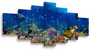 Obraz - Oceán (210x100 cm)