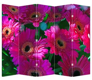 Paraván - Květiny (210x170 cm)