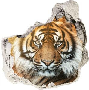 Díra 3D fototapeta na stěnu Bengálský tygr nd-p-116603957