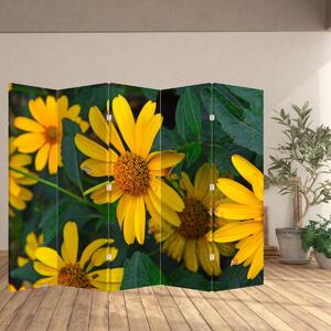 Paraván - Žluté květiny (210x170 cm)
