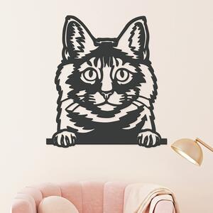 DUBLEZ | Dřevěný obraz kočky - Maine Coon
