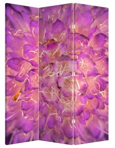 Paraván - Detail květu (126x170 cm)