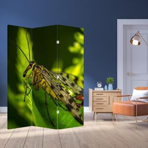 Paraván - Hmyz (126x170 cm)