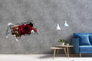 Fotoobraz díra na stěnu Žena s růží nd-b-6668624