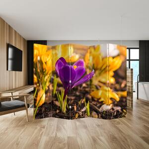 Paraván - Fialová květina (210x170 cm)