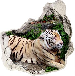 Fototapeta díra na zeď Tygr na skále nd-p-118161704