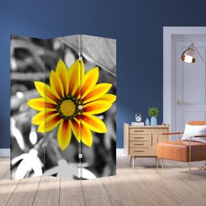 Paraván - Žlutá květina (126x170 cm)