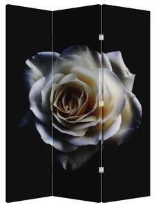 Paraván - Bílá růže (126x170 cm)
