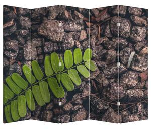 Paraván - Zelená rostlina (210x170 cm)