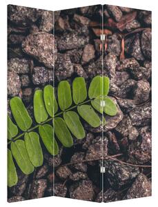 Paraván - Zelená rostlina (126x170 cm)