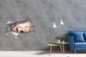 Díra 3D fototapeta na stěnu Štěně a kočky nd-b-67600578