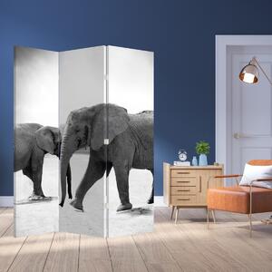 Paraván - Černobílí sloni (126x170 cm)
