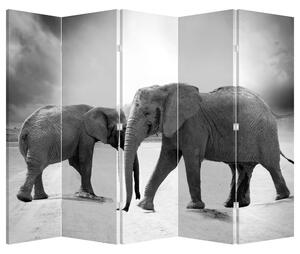 Paraván - Černobílí sloni (210x170 cm)