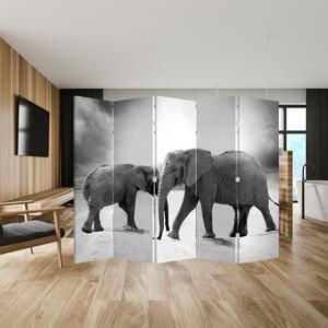 Paraván - Černobílí sloni (210x170 cm)