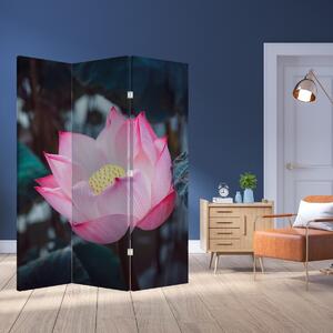 Paraván - Růžová květina (126x170 cm)