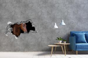 Díra 3D fototapeta na stěnu Hnědý kůň nd-b-114030424