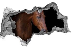 Díra 3D fototapeta na stěnu Hnědý kůň nd-b-114030424