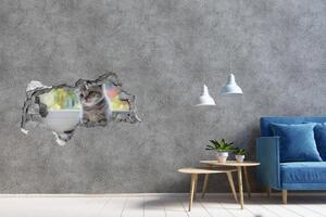 Díra 3D fototapeta na stěnu Malá kočka u okna nd-b-114401117