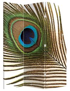Paraván - Paví peří (126x170 cm)