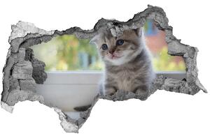 Díra 3D fototapeta na stěnu Malá kočka u okna nd-b-114401117