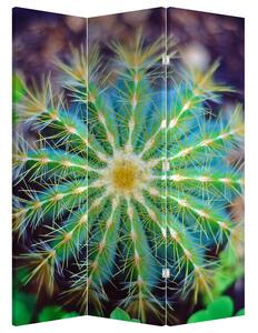 Paraván - Kaktus (126x170 cm)