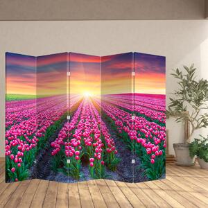 Paraván - Pole tulipánů se sluncem (210x170 cm)