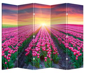 Paraván - Pole tulipánů se sluncem (210x170 cm)