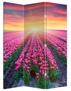 Paraván - Pole tulipánů se sluncem (126x170 cm)