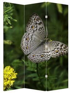 Paraván - Bílý motýl (126x170 cm)