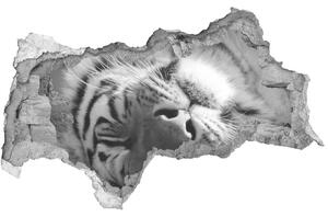 Díra 3D fototapeta nálepka Spící tygr nd-b-125000206