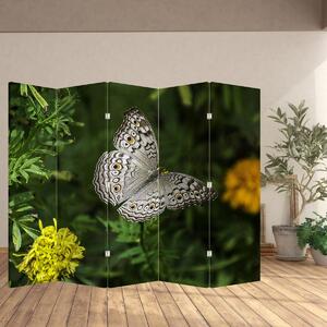 Paraván - Bílý motýl (210x170 cm)