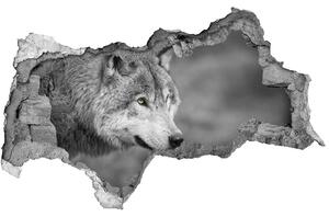 Díra 3D fototapeta na stěnu Šedý vlk nd-b-125421387