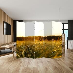 Paraván - Orosená tráva (210x170 cm)