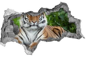 Díra 3D fototapeta nálepka Sibiřský tygr nd-b-129133169