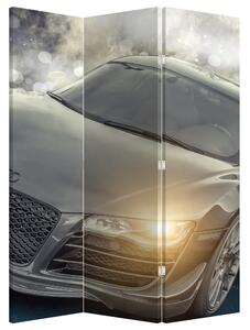 Paraván - Auto Audi - šedé (126x170 cm)